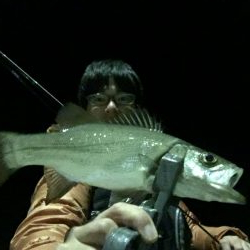 五島でアジングなどのナイトゲームでRIDE ON!!